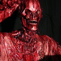 Standard Details:  Blood and Slime